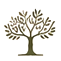 Elevate icon